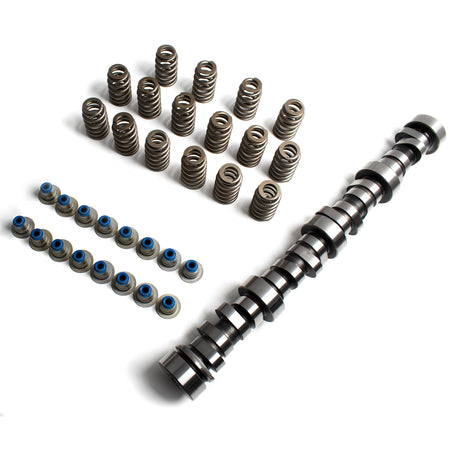 BTSCAR TLZKIT-002 Camshaft Valve Springs and Seals for Chevy GMC
