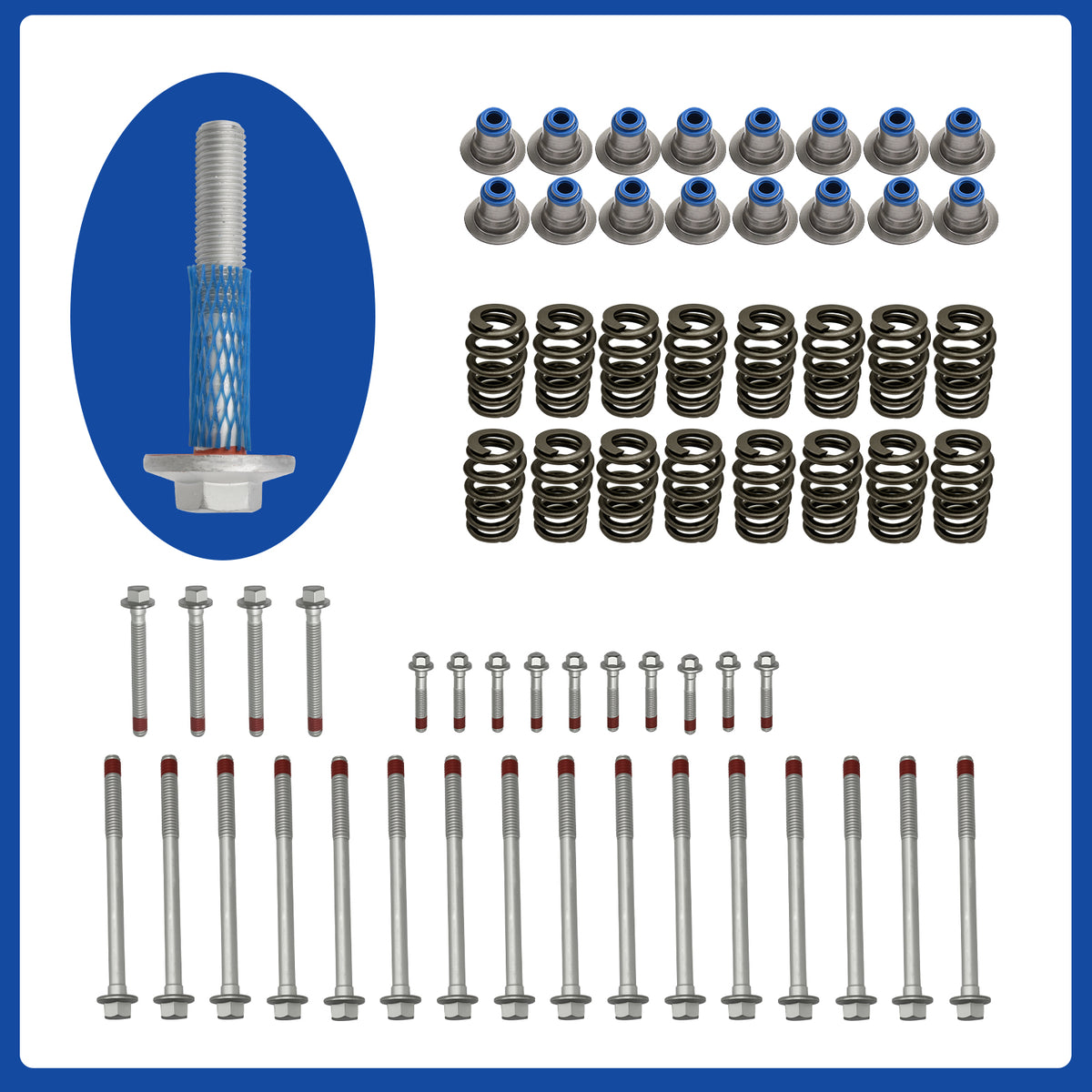 BTSCAR TLZKIT-005 PAC-1218 Valve Springs Head Bolts and Valve Seals