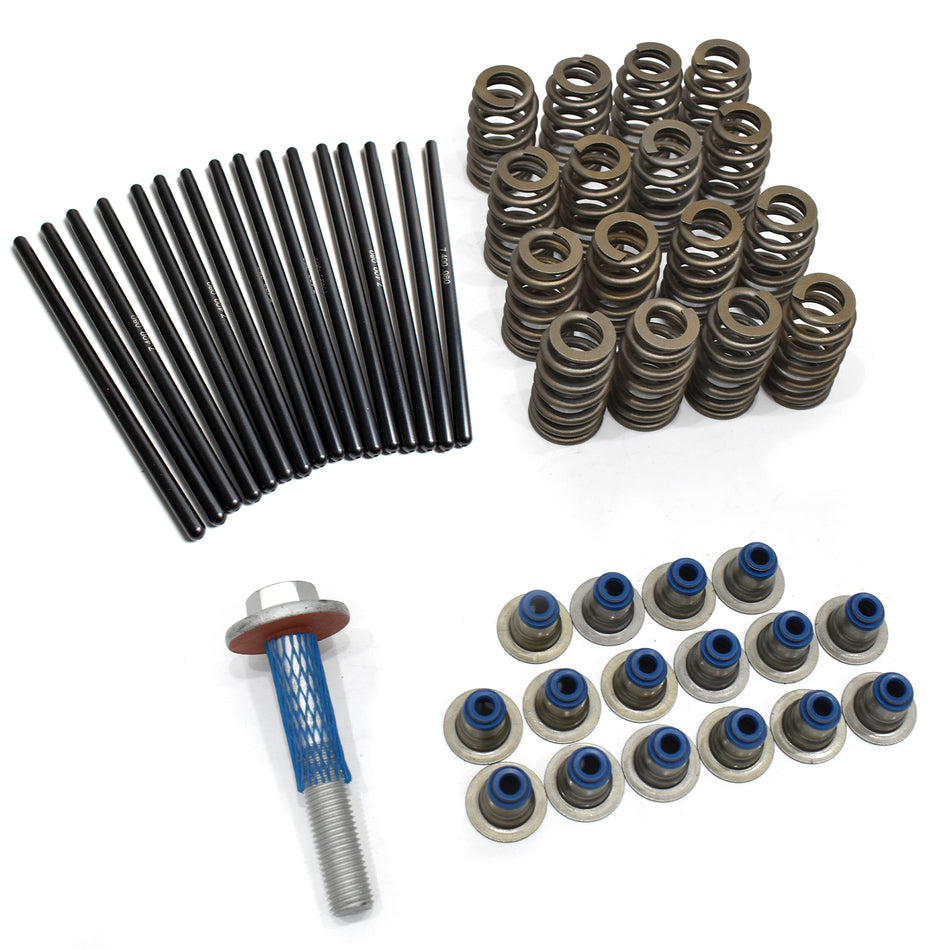 BTSCAR TLZKIT-006 Valve Springs Pushrods Blue Valve Stem Seals and Camshaft Bolt Detail