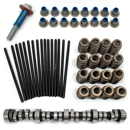 BTSCAR TLZKIT-008 Stage 3 E1841P Camshaft with PAC-1218 Springs Valve Seals and Pushrods Components