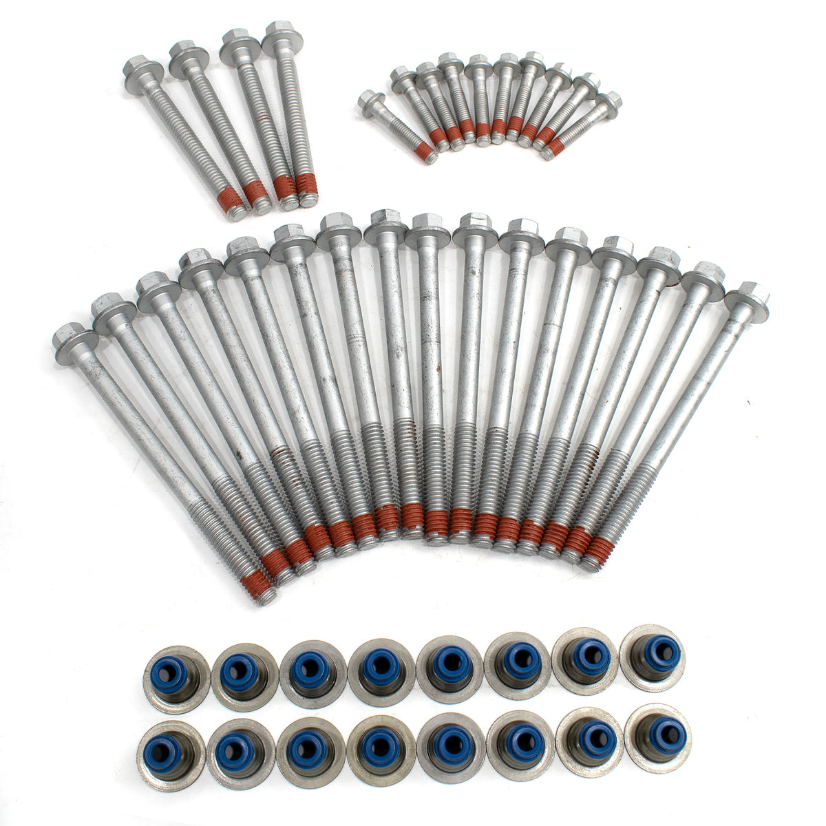 BTSCAR TLZKIT-024 Set of Cylinder Head Bolts with Red Threadlocker and Blue Valve Stem Seals Detail