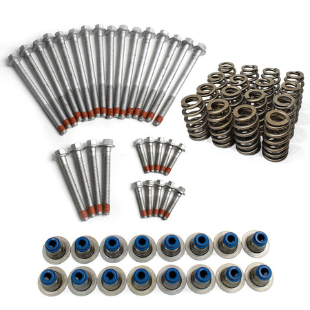 BTSCAR TLZKIT-025-1 Cylinder Head Bolts Set Valve Springs and Blue Valve Stem Seals Detail
