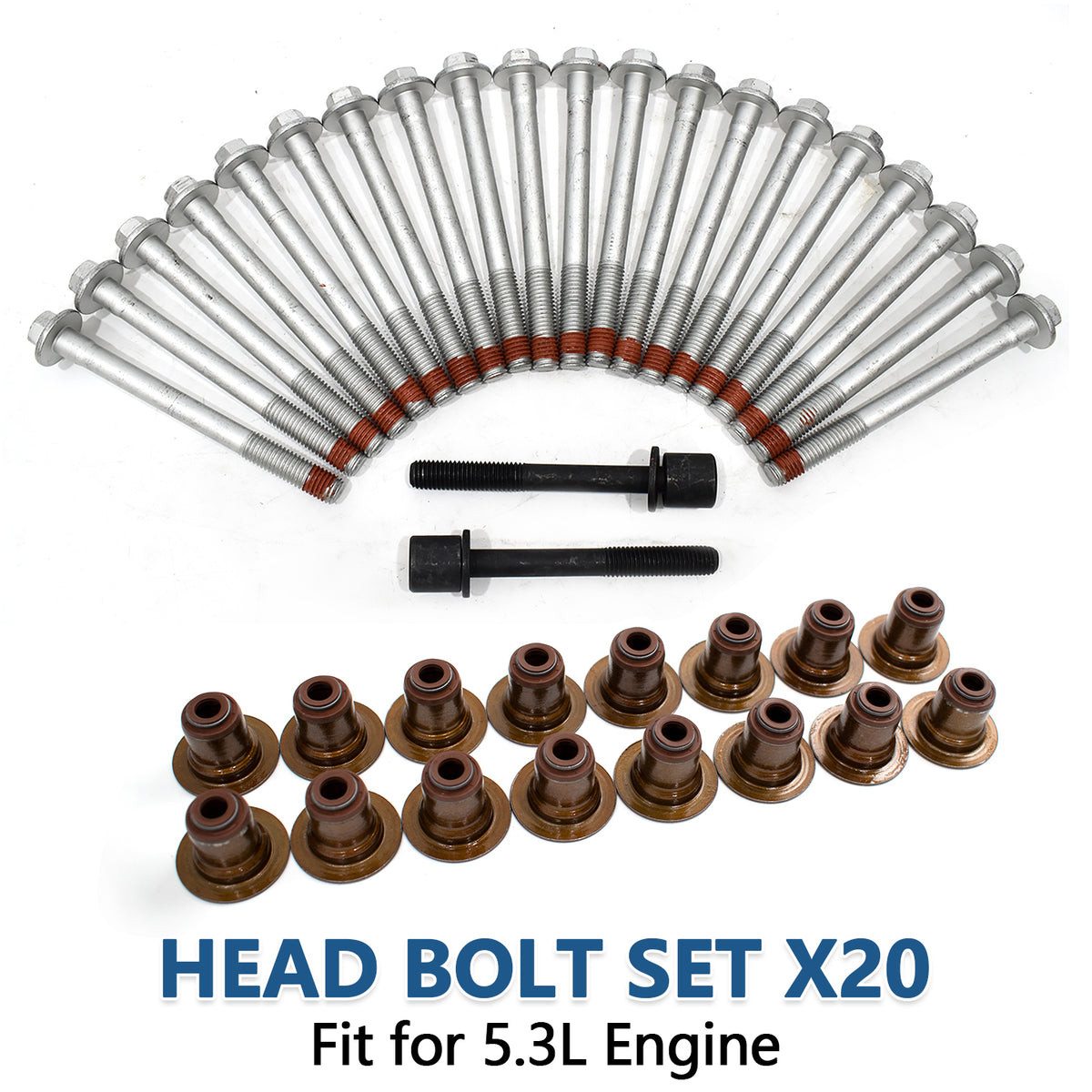 Btscar TLZKIT-033 head bolt set with 20 pieces and oil seals, designed for Gen V 5.3L L83 engine rebuilds.